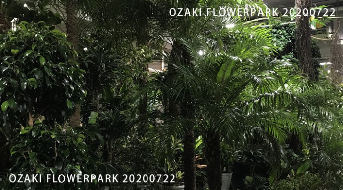 0178-700x389