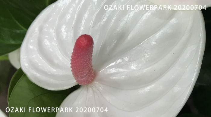 0218-700x389