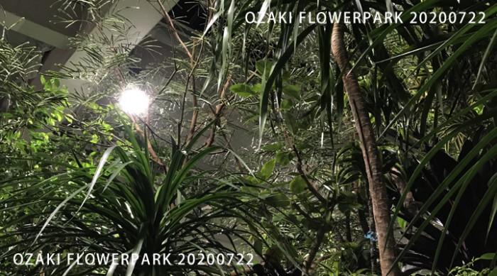 0224-700x390