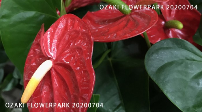 0310-700x389