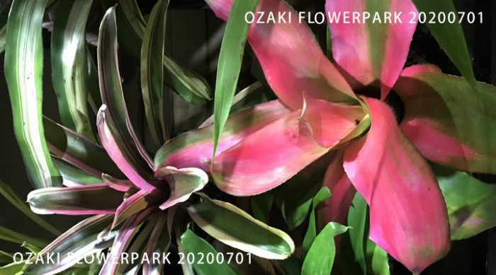 038-700x389