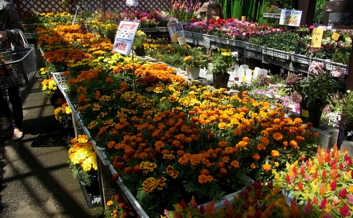 0413sale-2