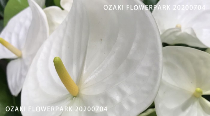 064-700x389