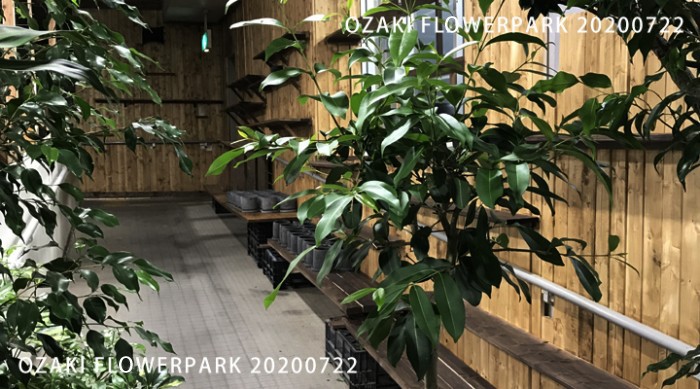 067-700x389