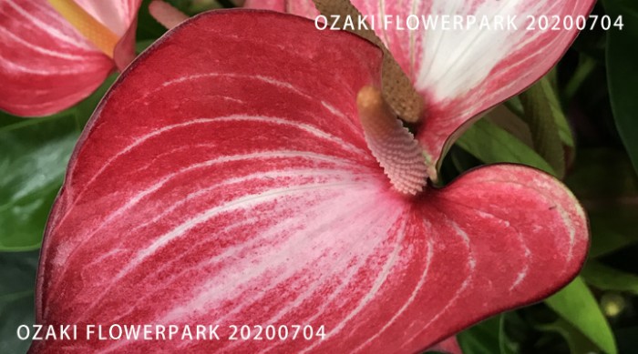 072-700x389