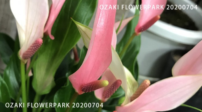 082-700x389