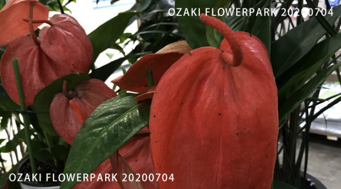 093-700x389