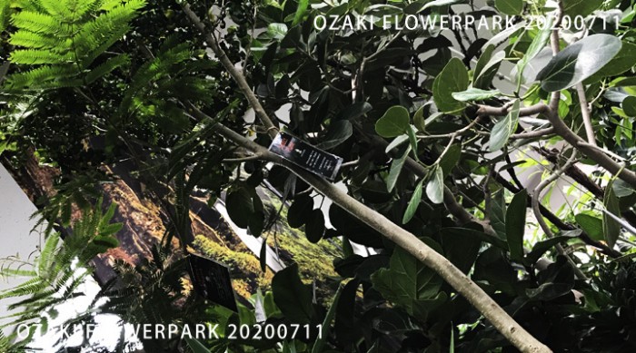 096-700x389