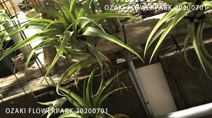 1040-700x389