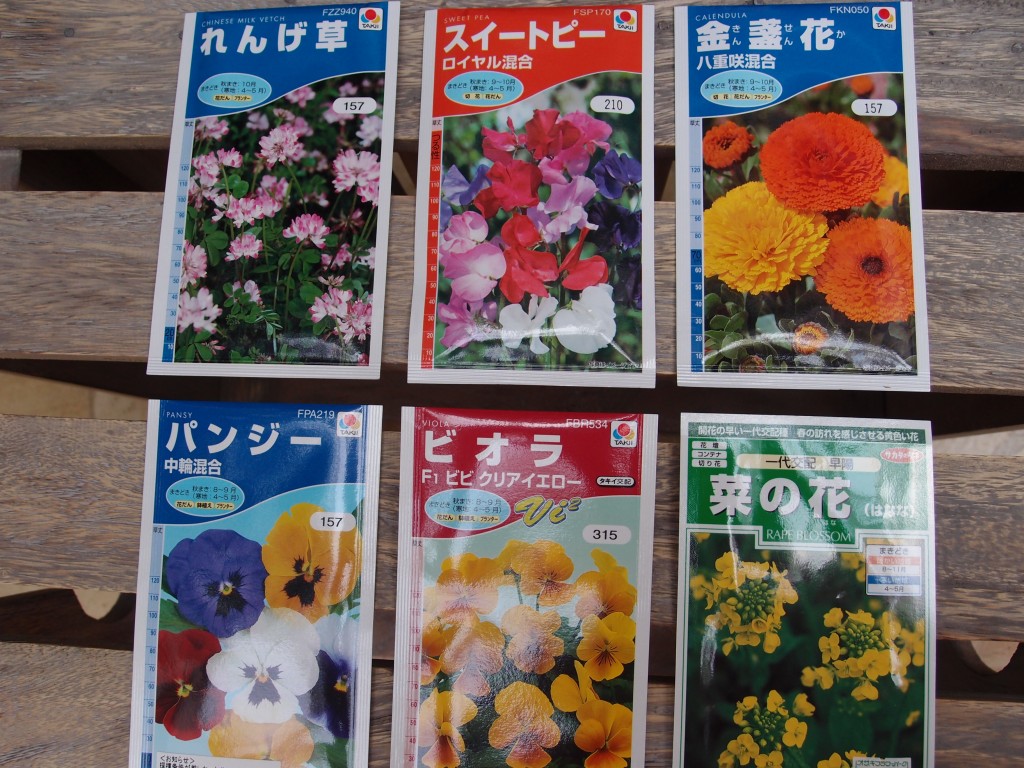 秋播きの花の種