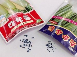 ダイコンの種 ダイコンの種