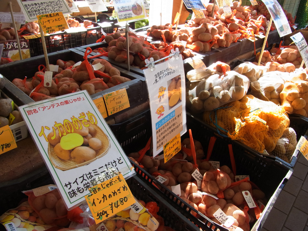 20130210インカのめざめ
