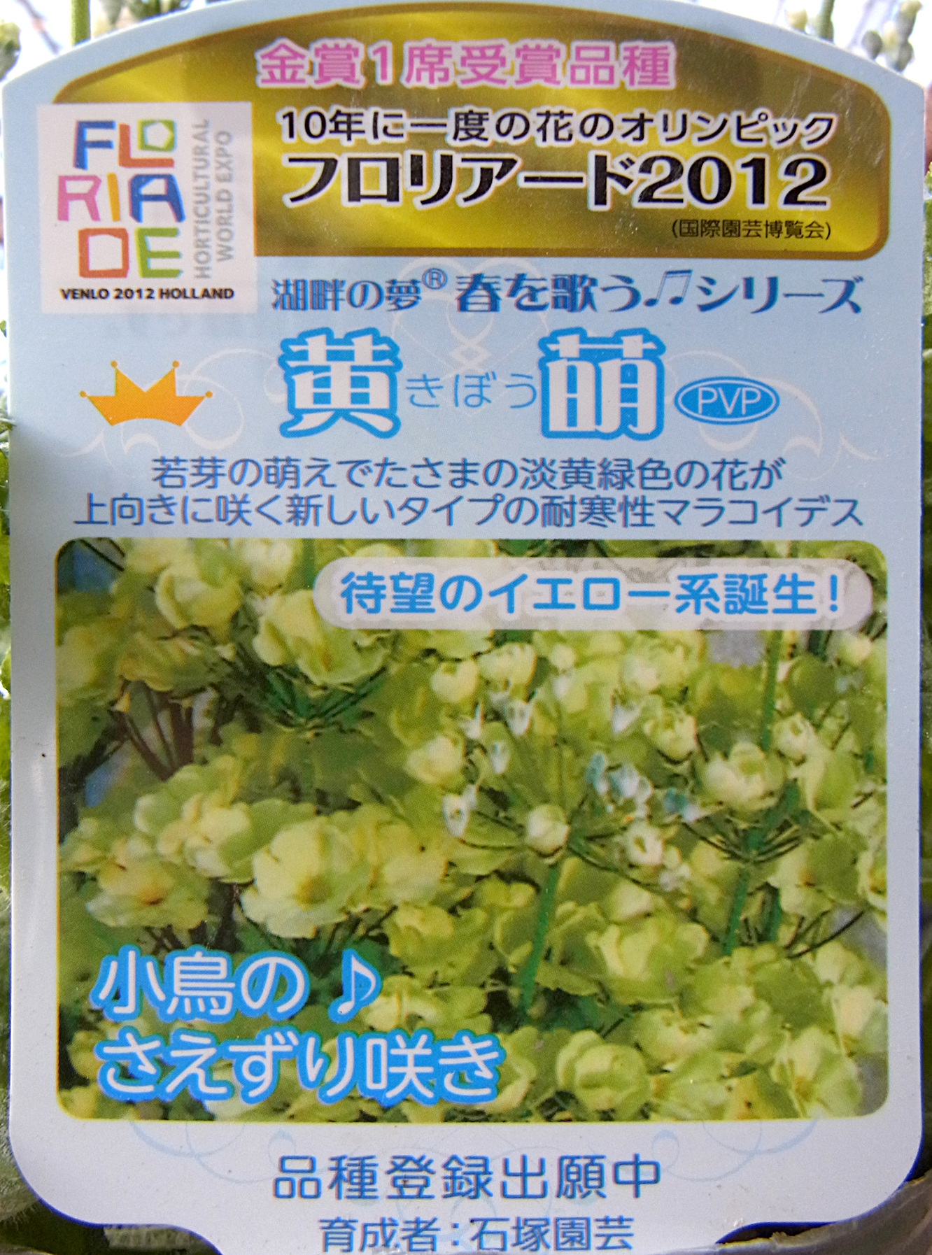 20130215