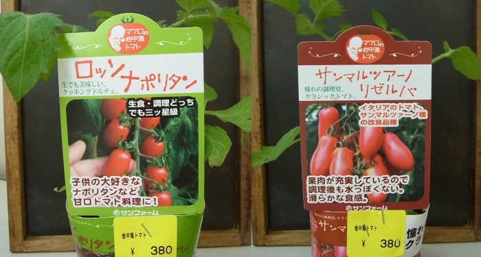 20130418 tomato rosso 2