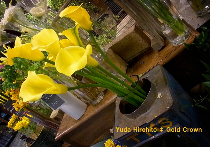 20130419_yuda
