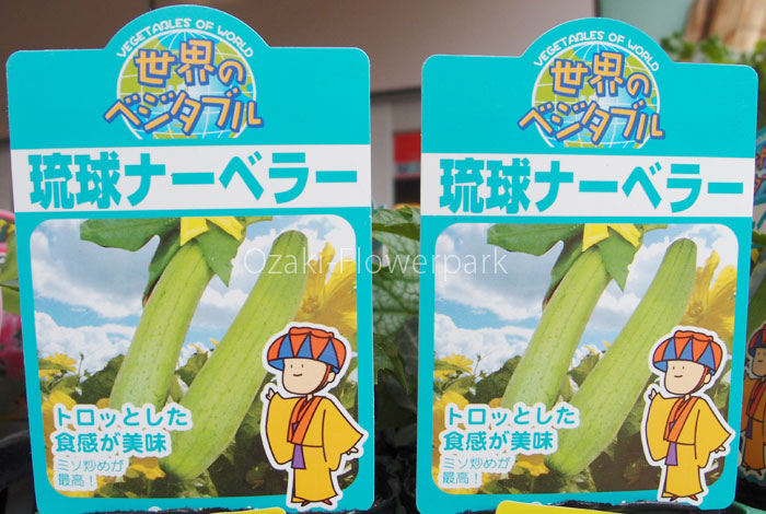 琉球ナーベラー
