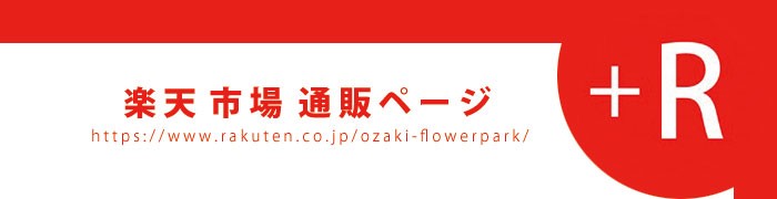 秋植え球根_blog用バナー楽天700px