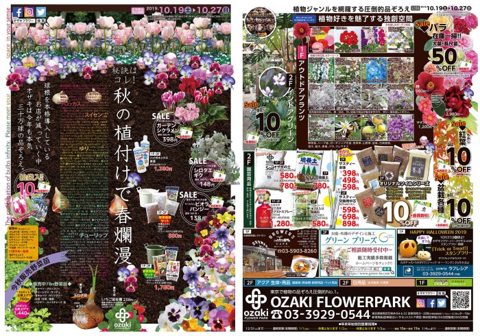 1019ozaki-Aw