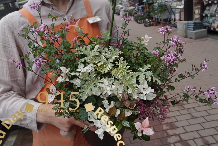 寄せ植え