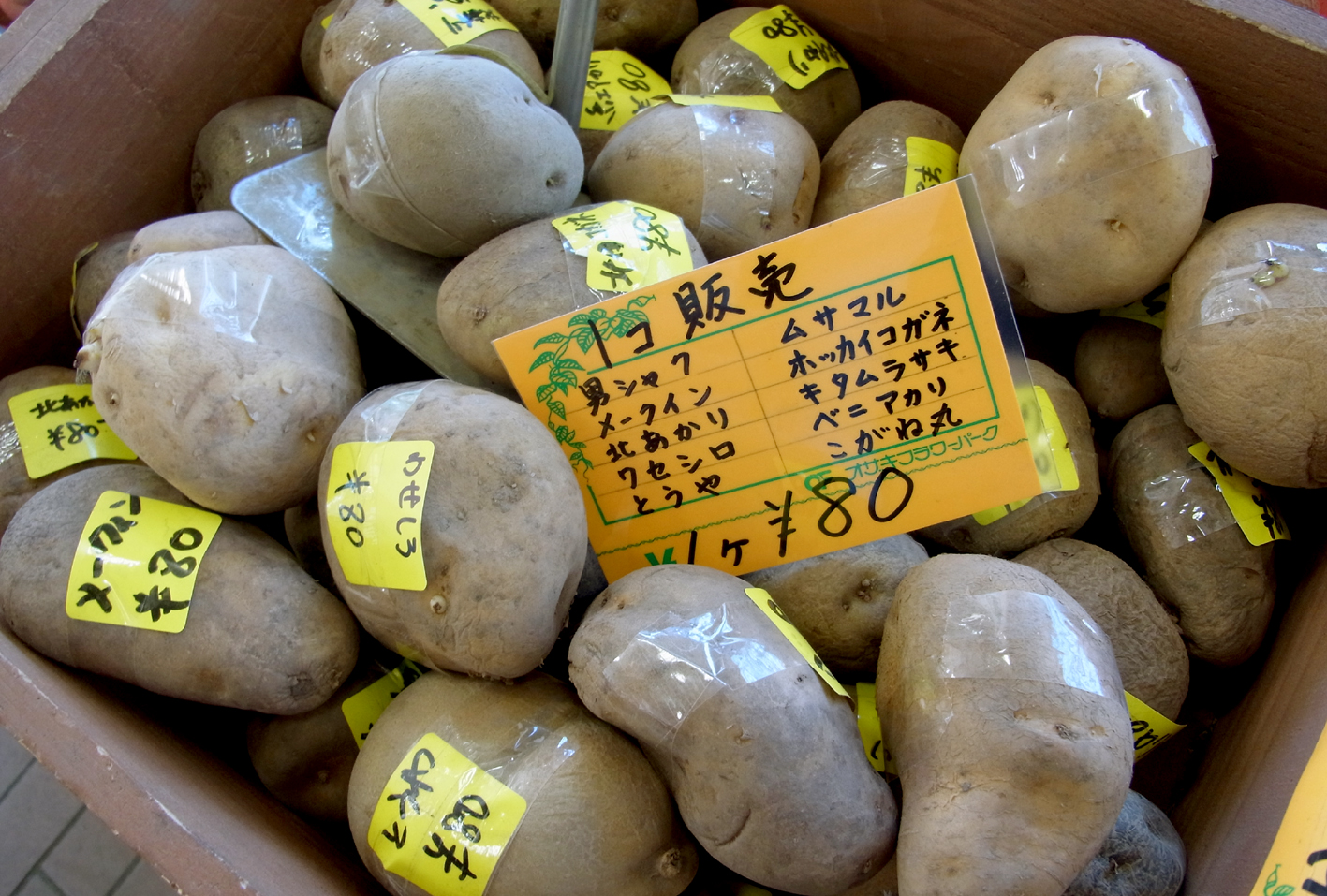 ジャガイモの種 バラ売り オザキフラワーパーク Staffblog