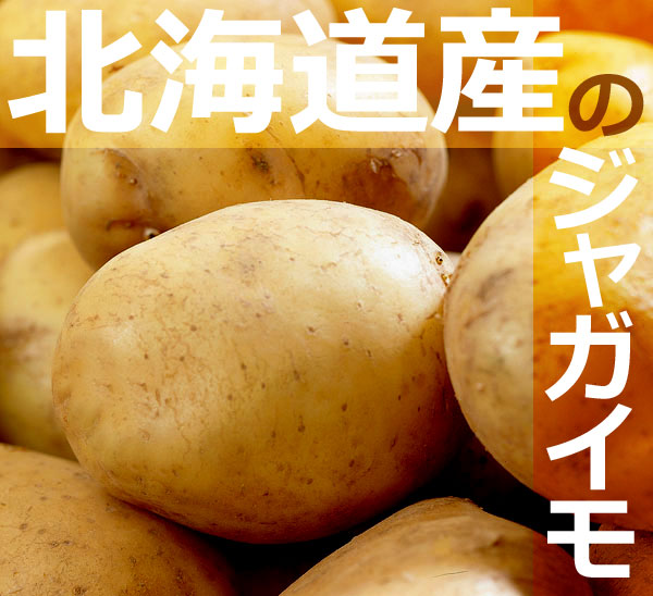 春植え野菜 ジャガイモの種イモ 好評発売中 オザキフラワーパーク Staffblog