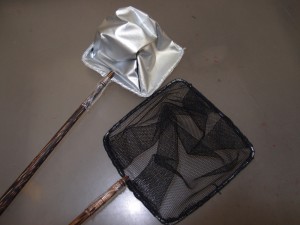 katyon2