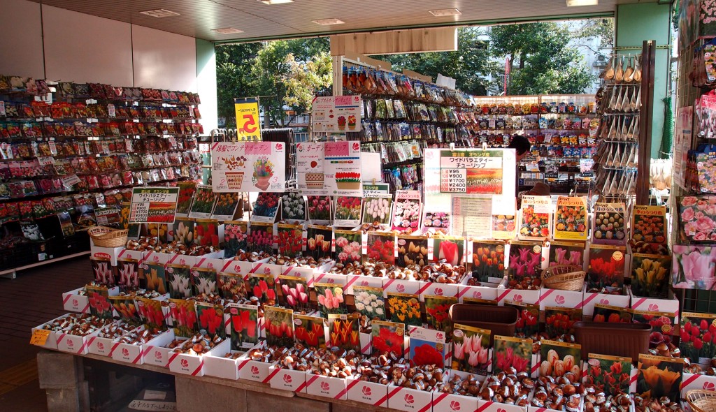 1F球根売場