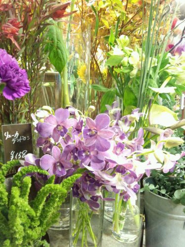 Staffblog オザキフラワーパーク Staffblog