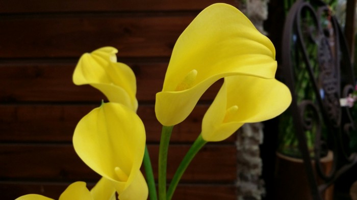 wpid-wp-1406878896997