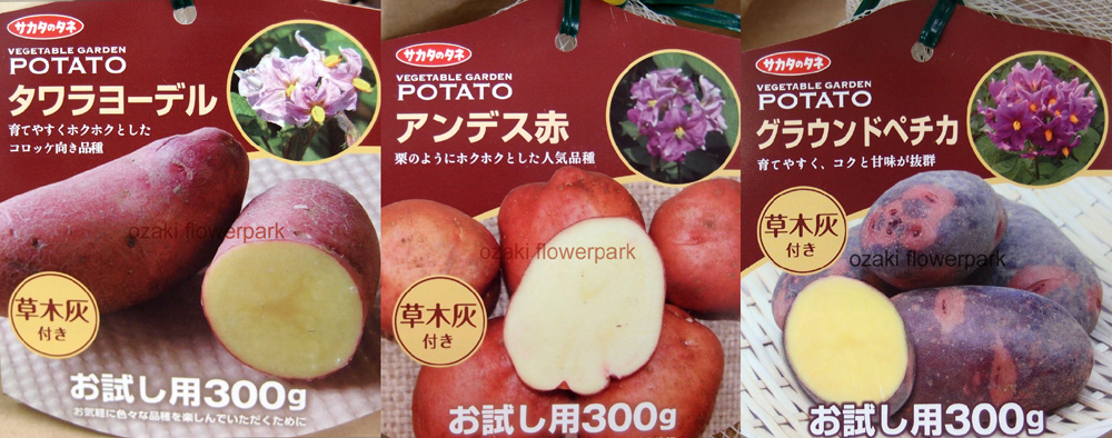 お試し用じゃがいも