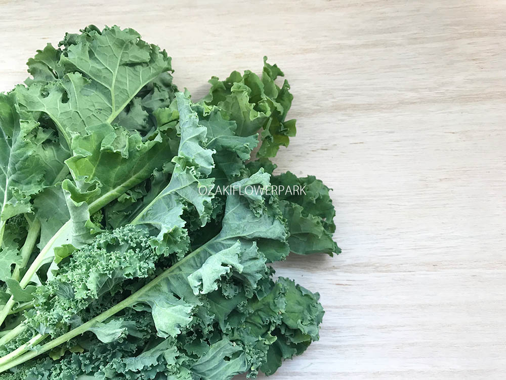 ケール オザキフラワーパーク