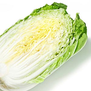 ハクサイ（白菜） | オザキフラワーパーク | オザキフラワーパーク