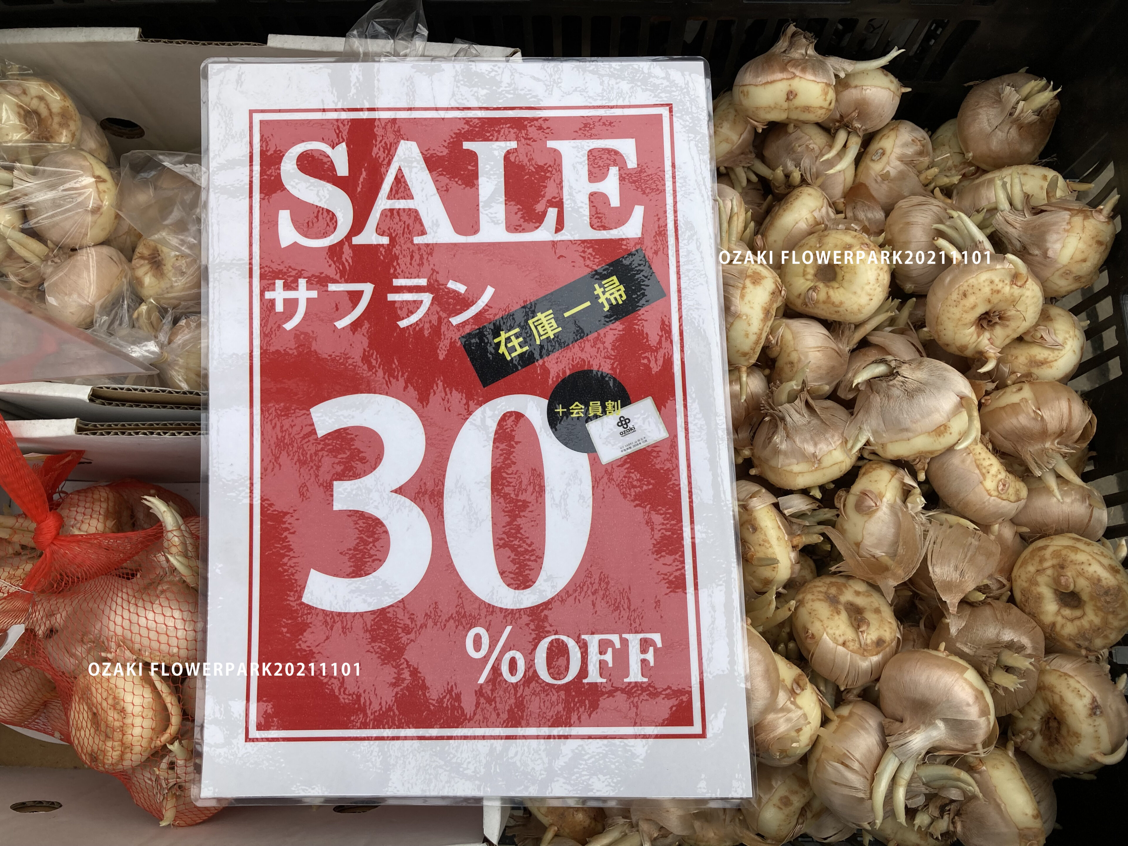 1F|野菜・球根売場からのご案内 | オザキフラワーパーク | オザキ