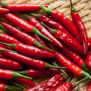 トウガラシ（唐辛子） | オザキフラワーパーク