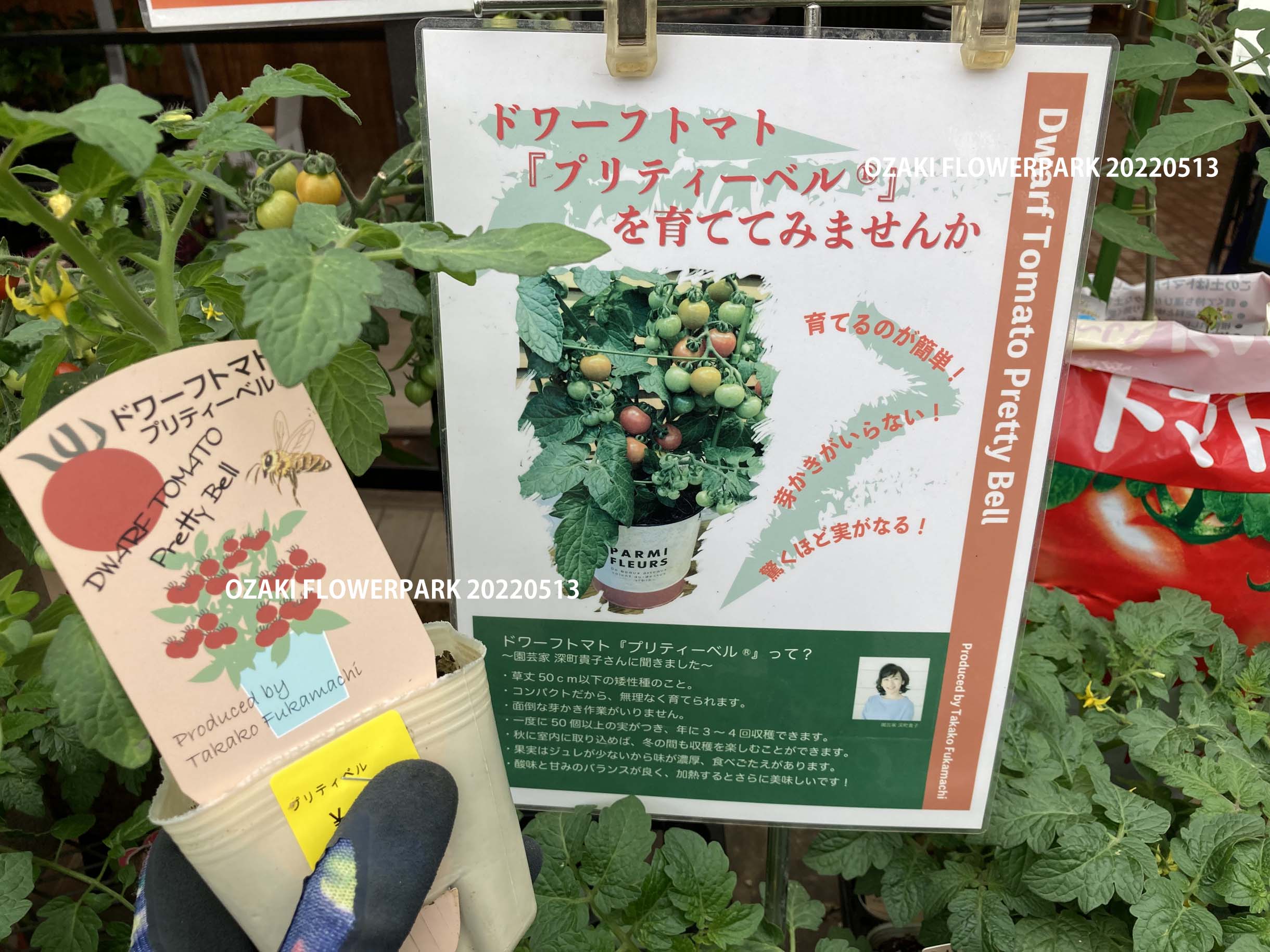 1f 野菜売り場からご案内 オザキフラワーパーク