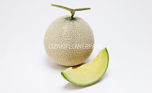 メロン オザキフラワーパーク