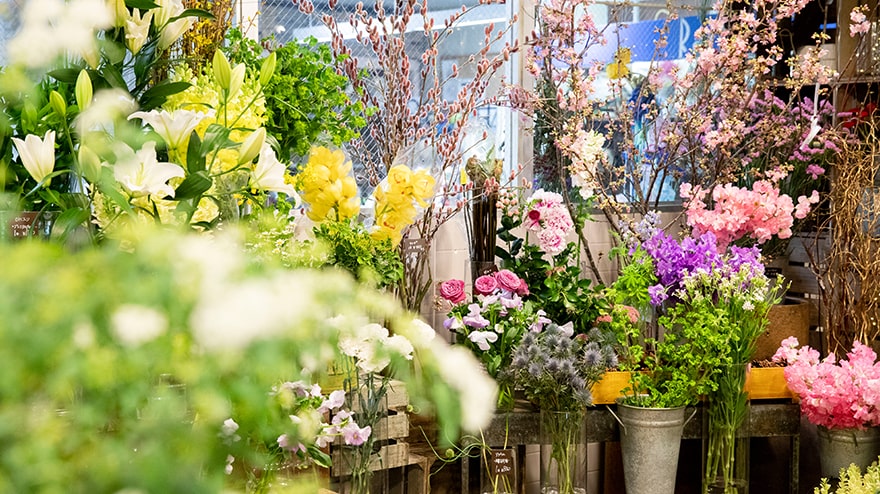 店舗案内 | オザキフラワーパーク | オザキフラワーパーク