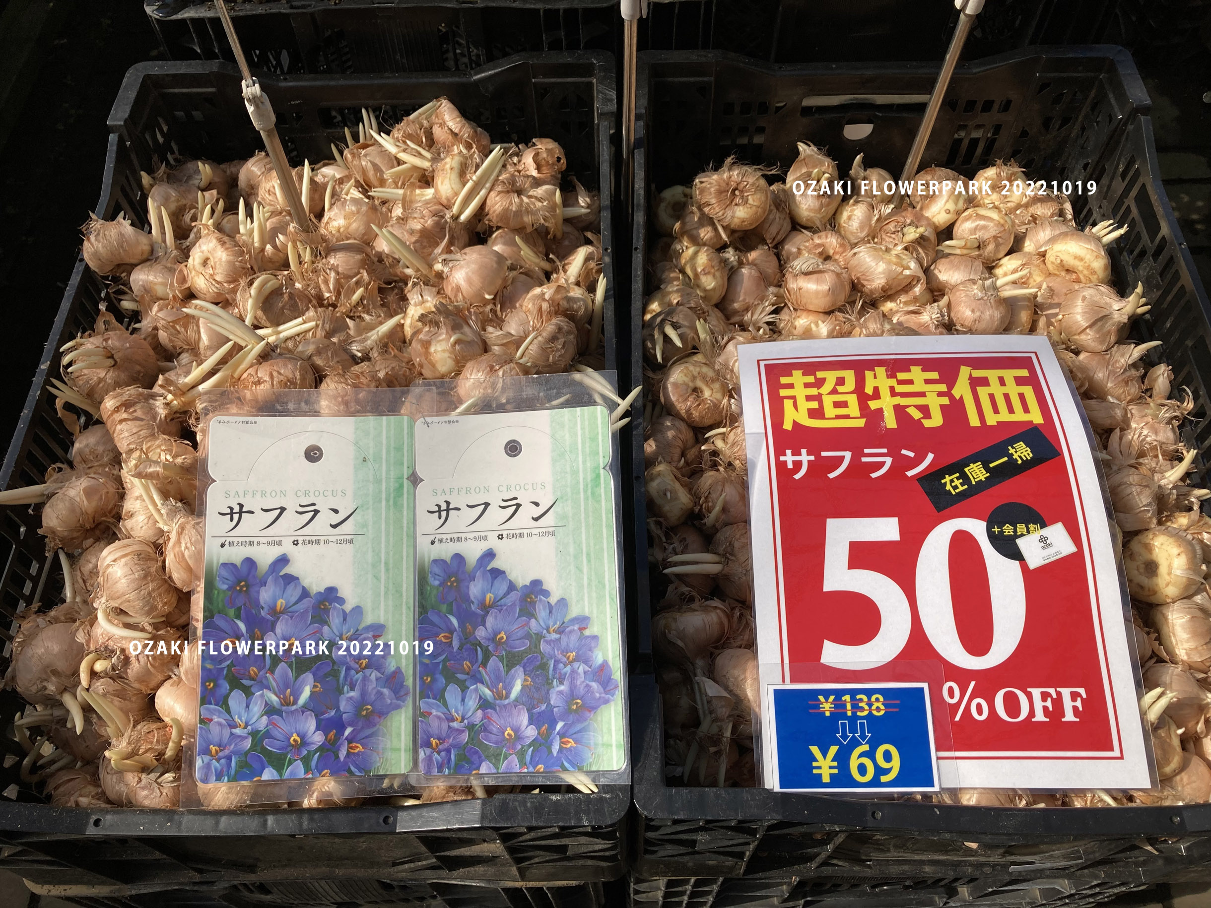 1F| 野菜・球根売り場からご案内 | オザキフラワーパーク | オザキ