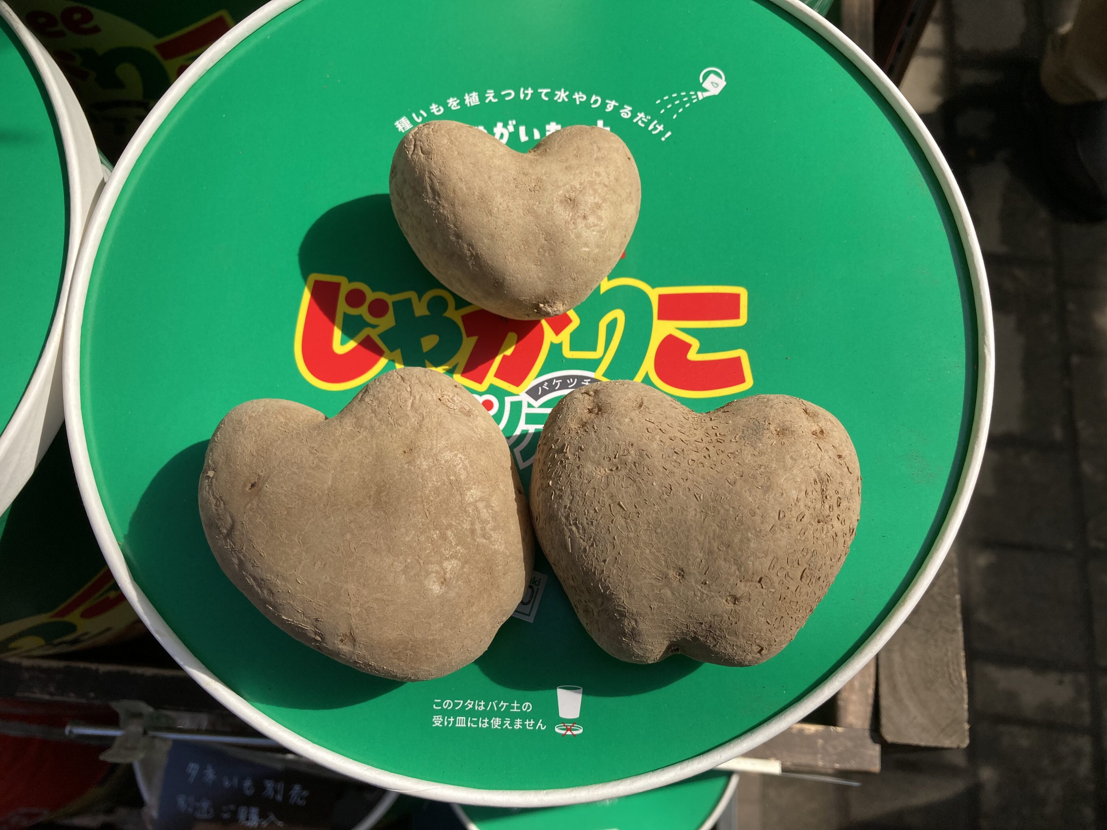 1F| 野菜売り場からご案内 | オザキフラワーパーク | オザキフラワーパーク