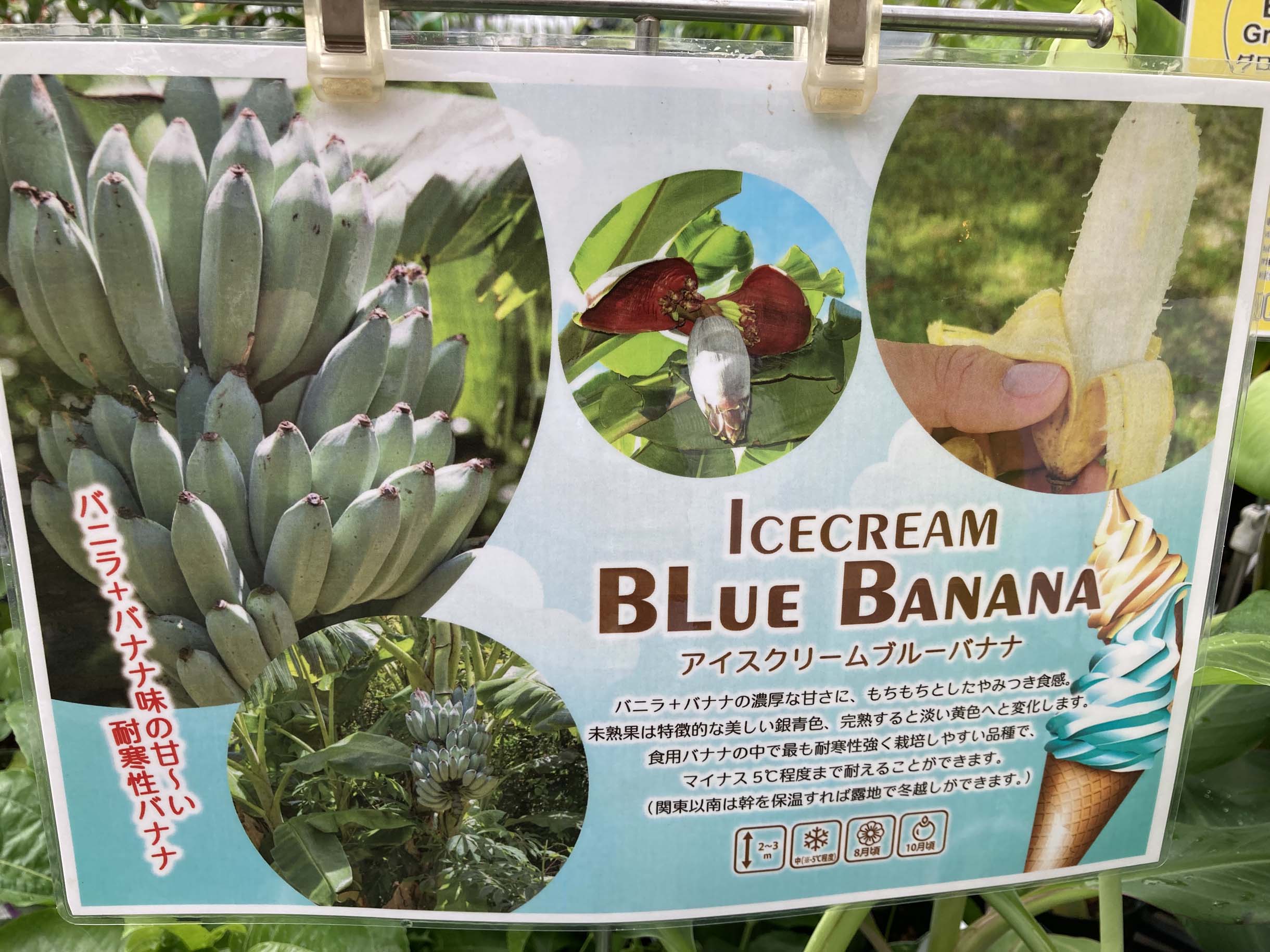 1F| 野菜売り場からご案内 | オザキフラワーパーク