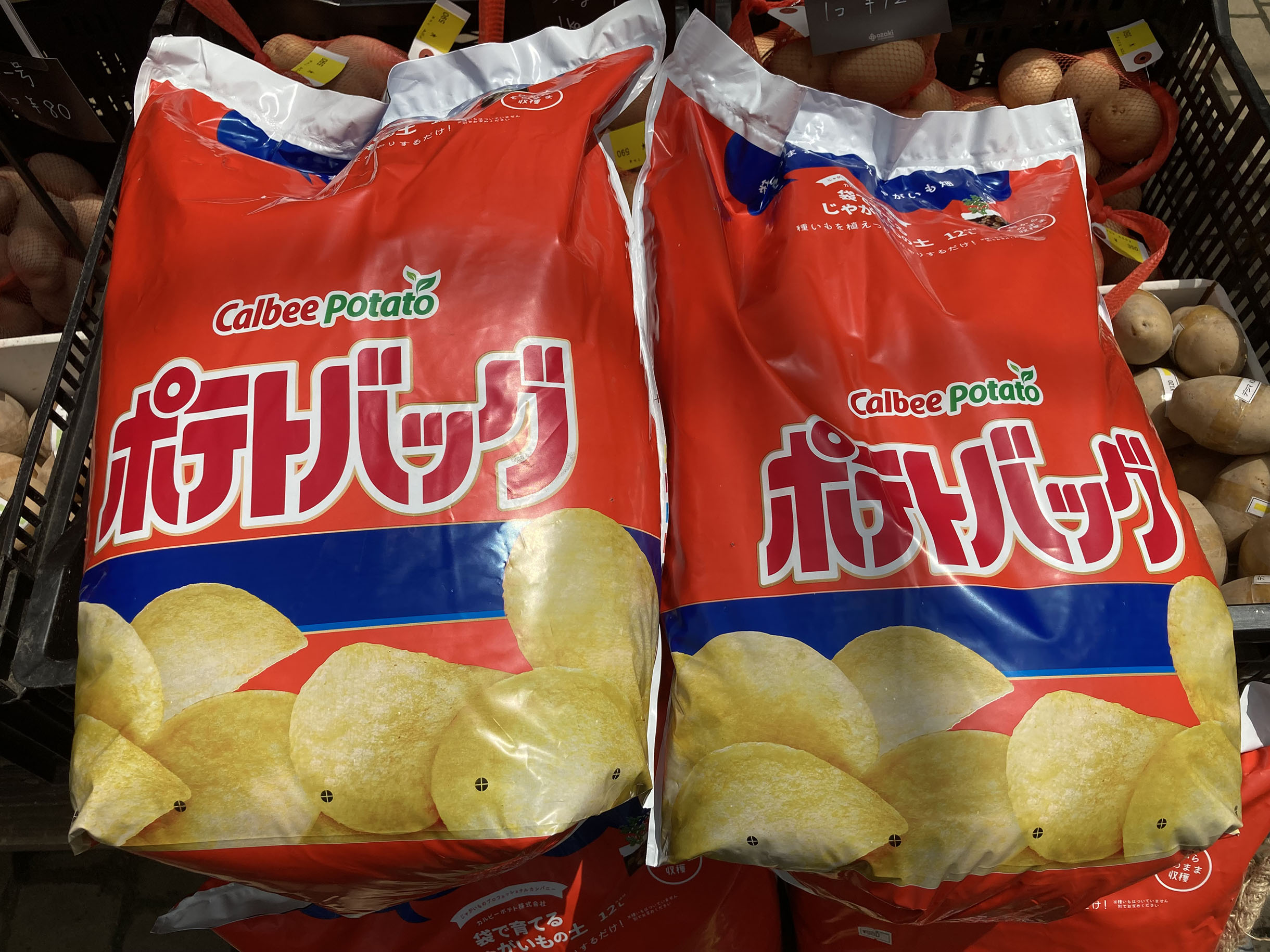 【フジシロ】ジャガイモ研究所　おまとめ品 長崎県産馬鈴薯(ジャガイモ)の定番品種が入荷しました！│土と親しむ