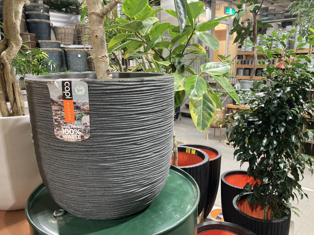 観葉や植木に似合う、オランダ製ポット「Capi」のご紹介 | オザキ 