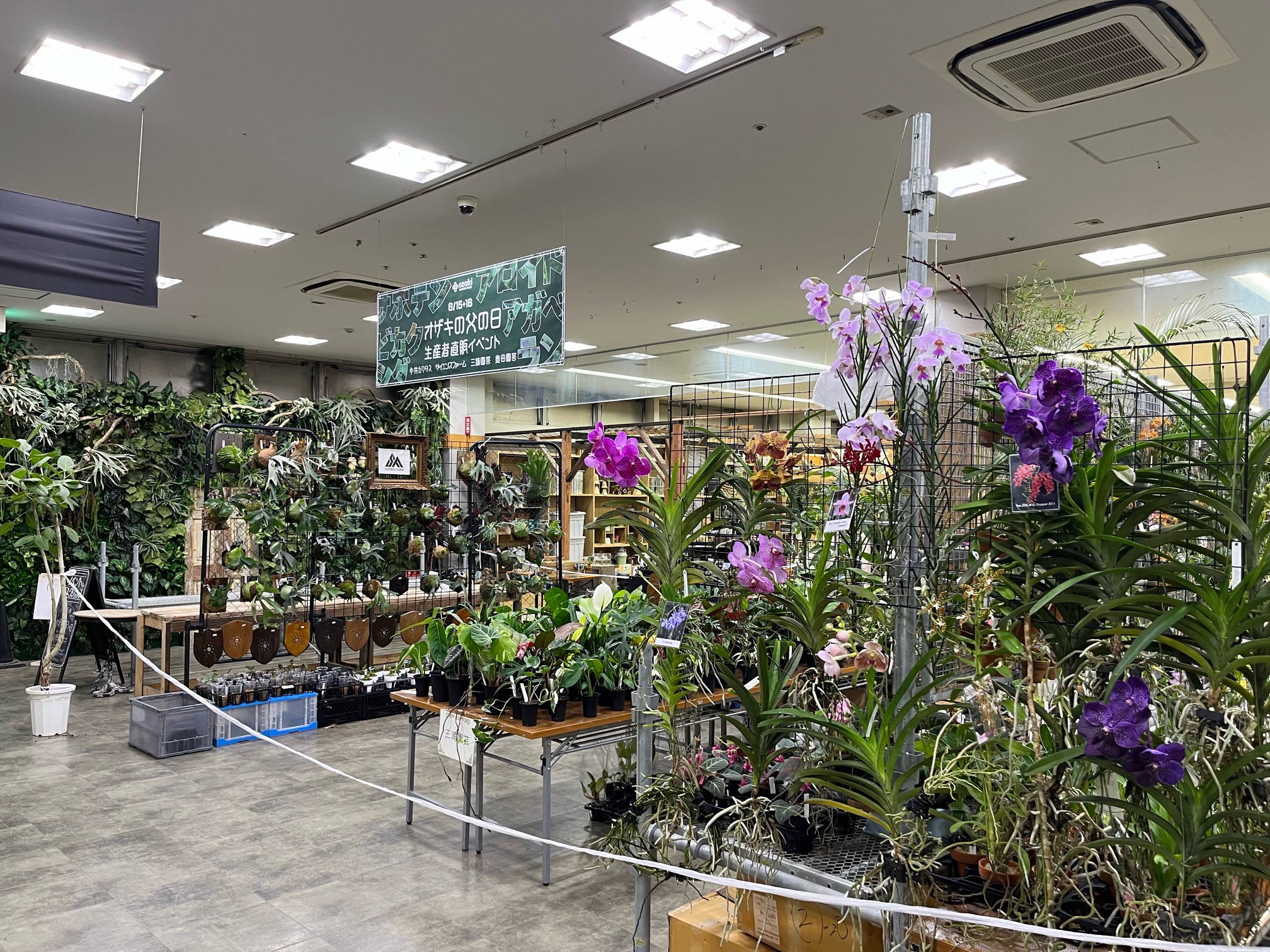 オザキの父の日 生産者直販 イベントレポート | オザキフラワーパーク