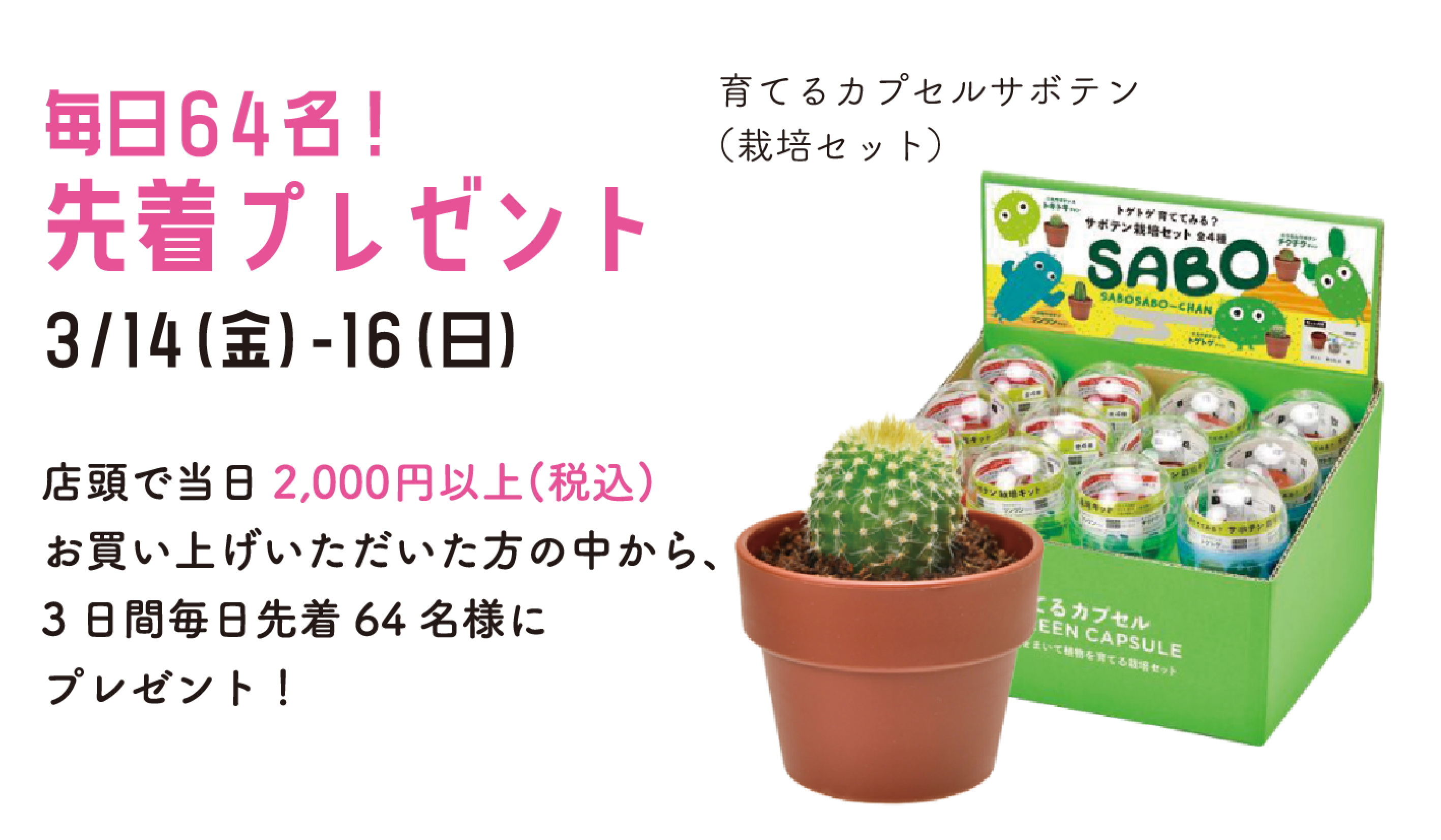 3/14-16 | 『スプリングフェスティバル 64th Anniversary』イベント 