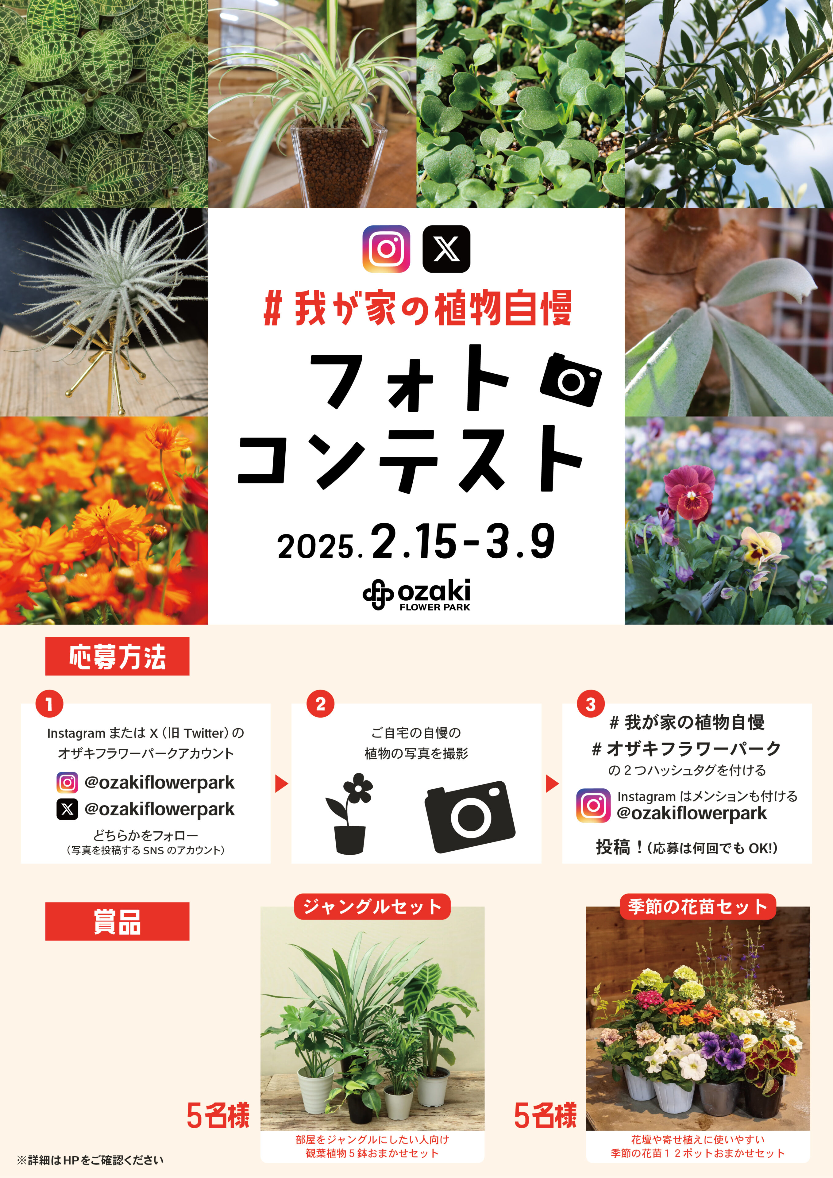 2/15-3/9 |『我が家の植物自慢』フォトコンテスト開催中 (Instagram、X