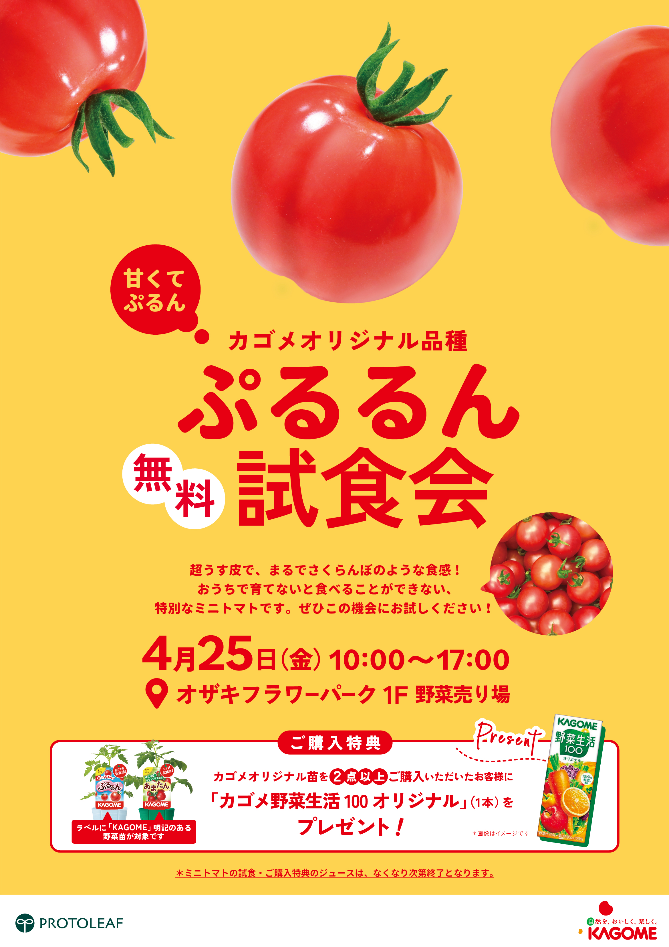4/25｜カゴメ ミニトマト「ぷるるん」試食会&苗販売 | オザキフラワー 