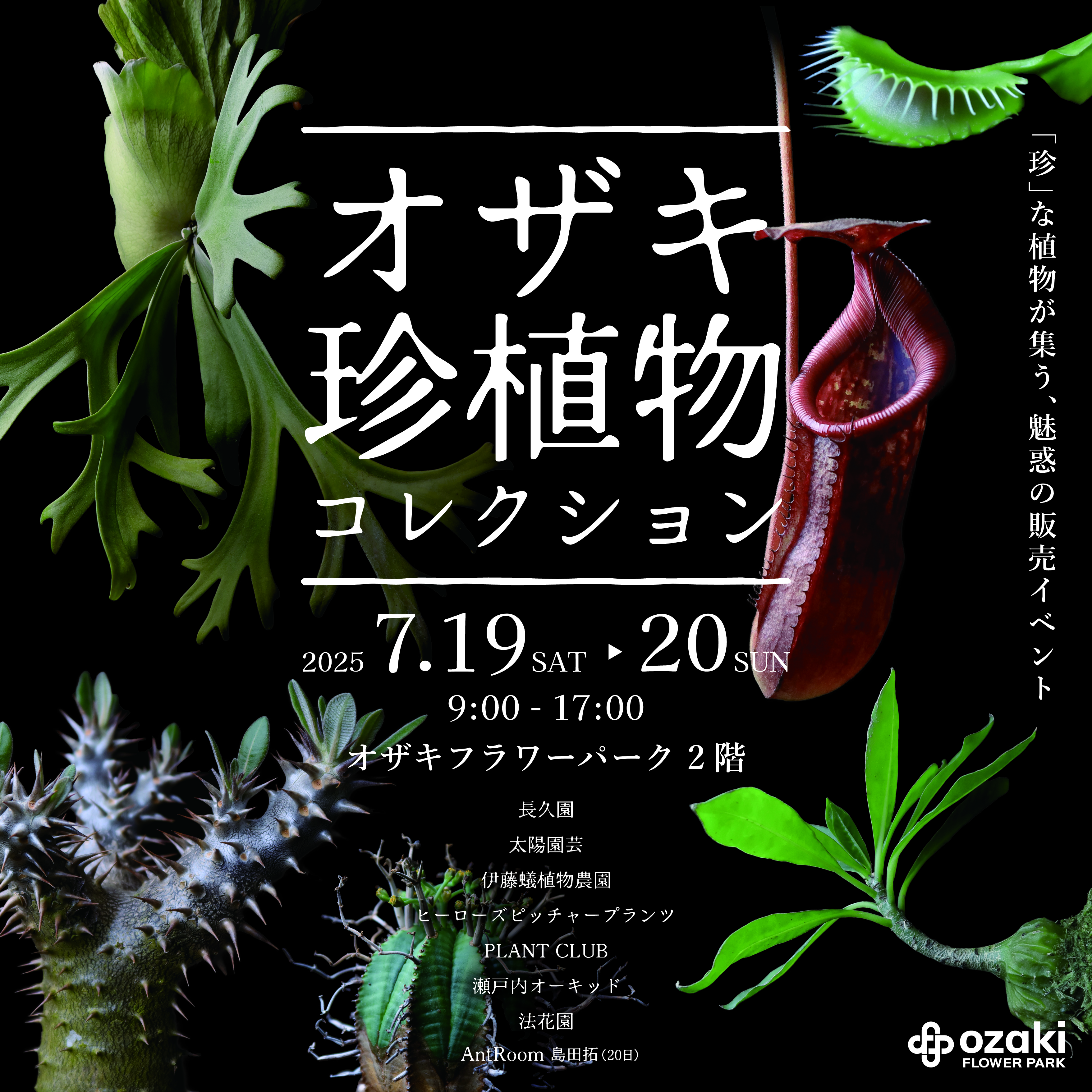 7/19・20 | オザキ珍植物コレクション | オザキフラワーパーク 