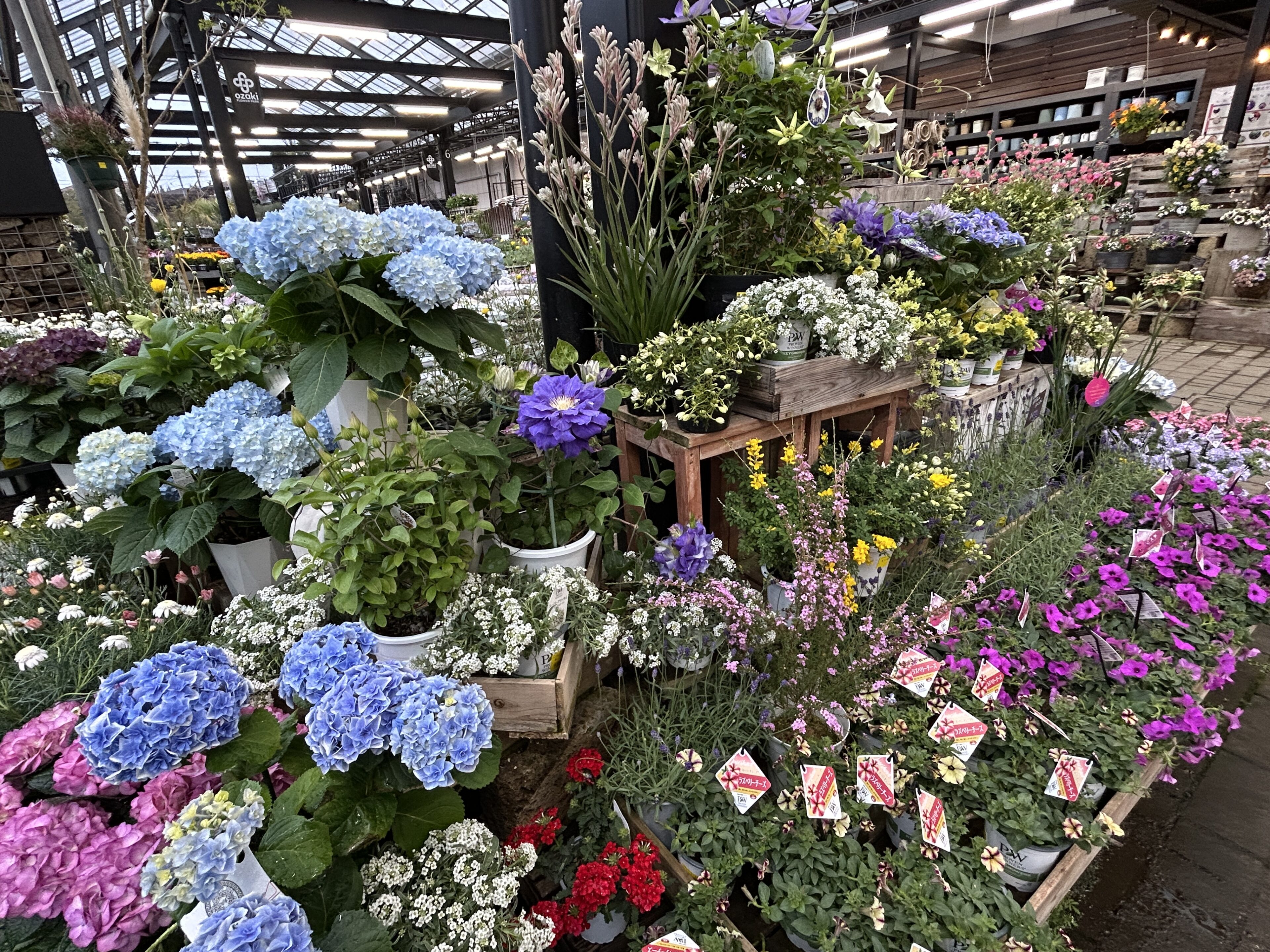 売場.jpg 売場.jpg