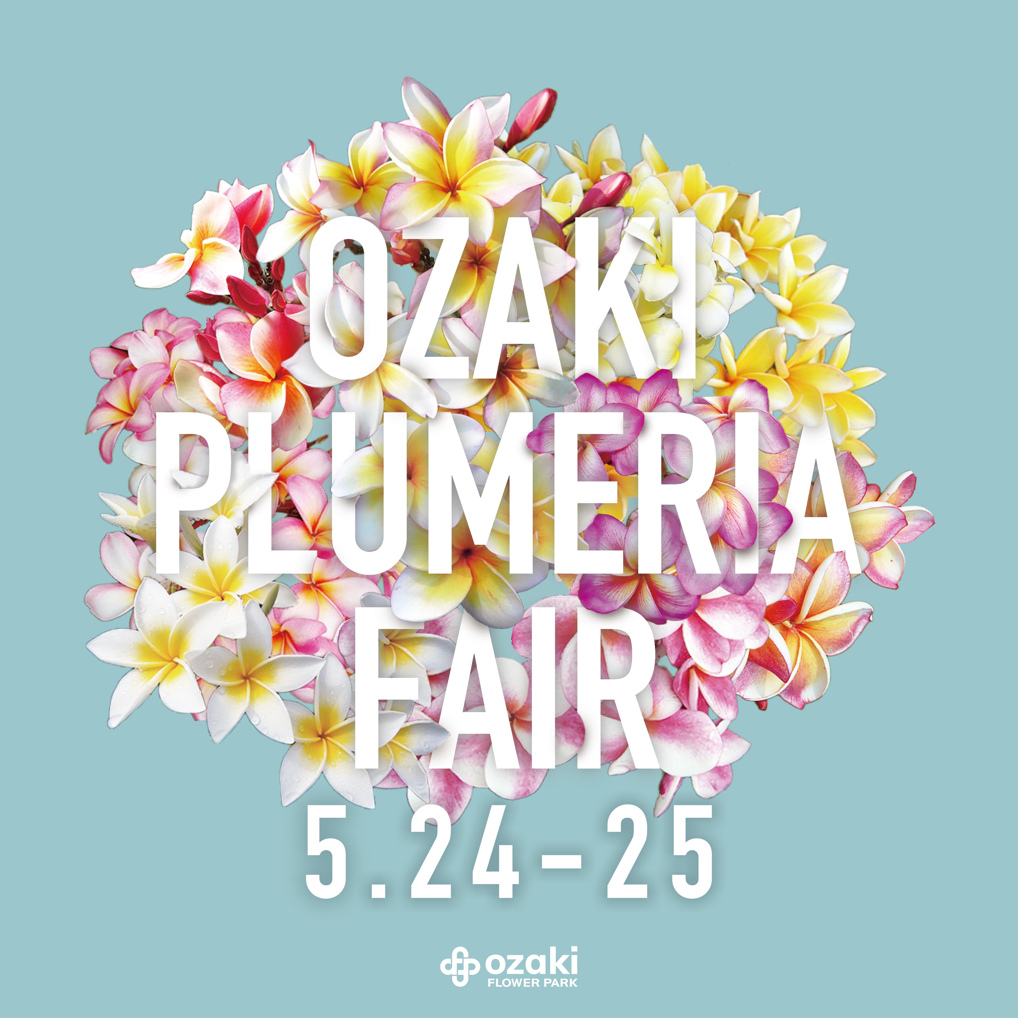 5/24・25 | オザキプルメリアフェア OZAKI PLUMERIA FAIR | オザキ