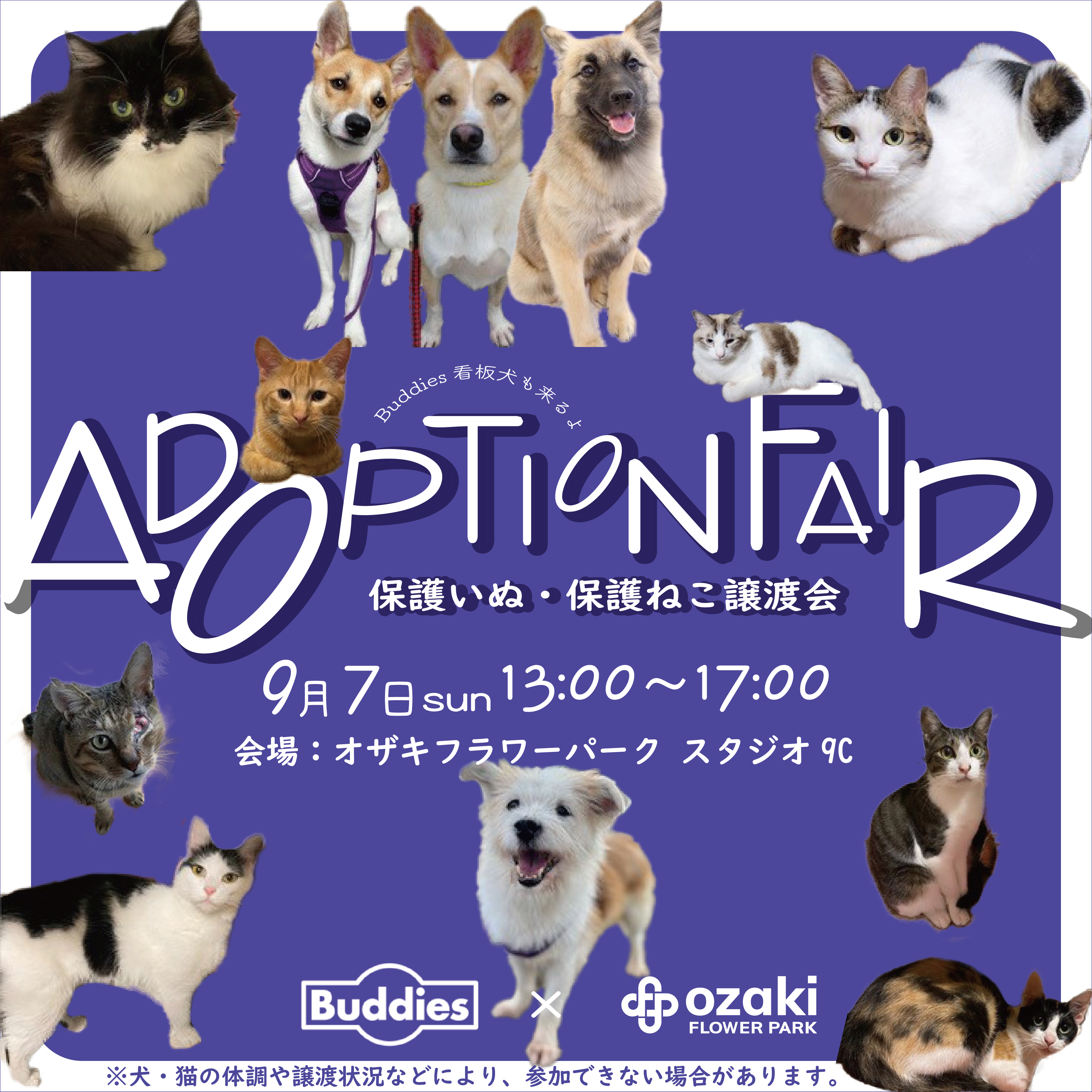 9/7｜Adoption Fair -保護犬・保護猫譲渡会- | オザキフラワーパーク